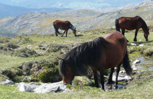 Casa da Avó - Foto 29