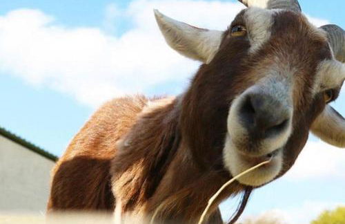 Holiday Home - St Austell - Foto 28