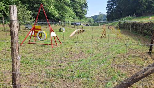 La Fontana di Casa Bernardi, terrazzo Wi-Fi PetFriendly con Area Cani - Foto 3, Garden