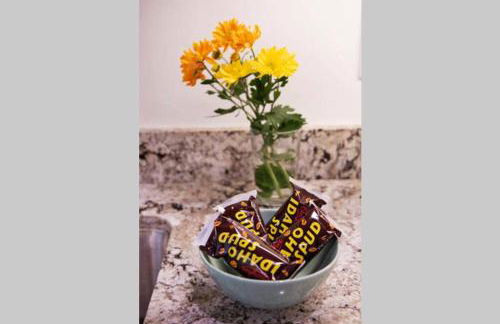 Bear Lair at Teton Valley Idaho - Foto 21