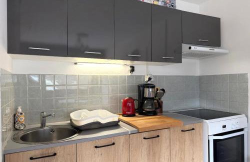 Grand studio 36m² au Mont-Dore, au pied des pistes, 4 couchages - FR-1-415-207 - Foto 13