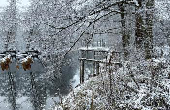 Masuria Warsaw Family - dom na wyłączność - w lesie i przy rzece - 15 min od Warszawy - idealny dla rodzin z dziećmi - Foto 62