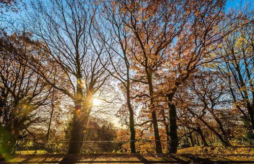 BIG 7xGuest House 3xVan Locked CarPort Garden Leeds & Bradford - Foto 62