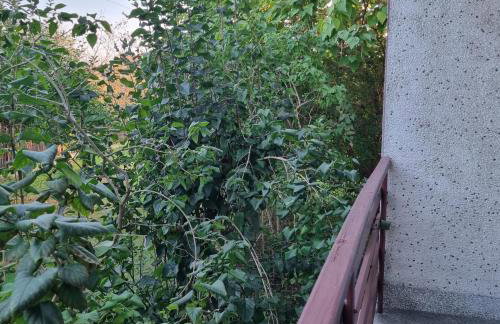 WILLA MIŁA - Foto 25