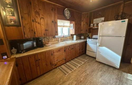 Hidden Cabin Getaway - Foto 11