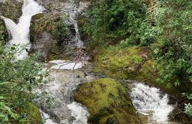 Tastefully restored cottage - Foto 30