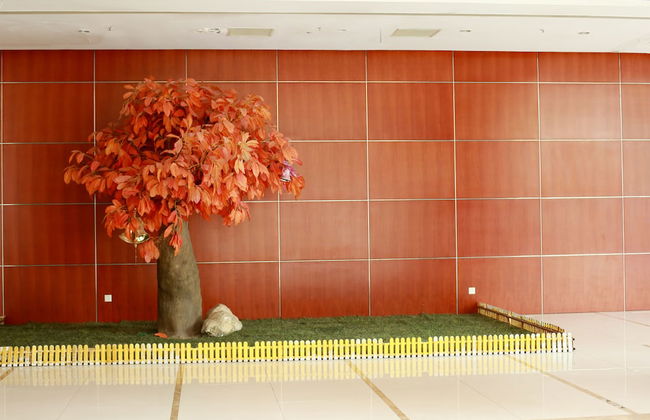 China Sunshine Apartment Dacheng International - Foto 30