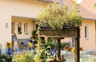 Ferienhof Obertor Heuboden - Foto 12