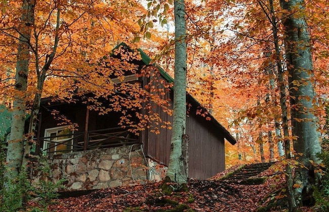 Habitat Mesire Evleri - Foto 40