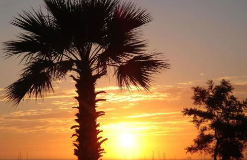 La Burbuja - Foto 42