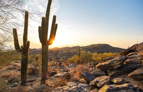 Mountain View Apartment With Phoenix at Your Doorstep by Rytell Stays - Foto 5