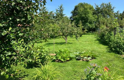 Iflands Hof - Foto 37