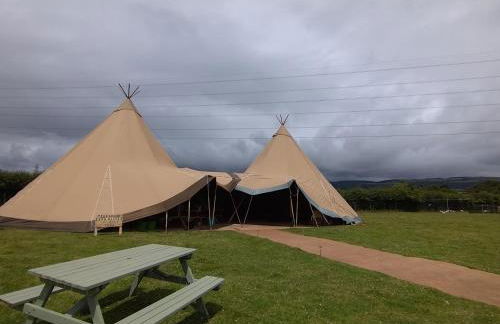 Tyncellar Farm Holiday Cottages - Photo 13