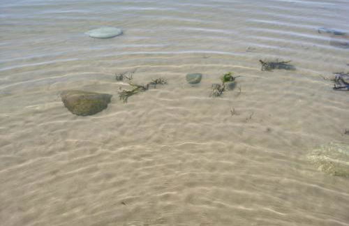Sea and Mountain view Sunbeach Holiday Snowdonia - Photo 85