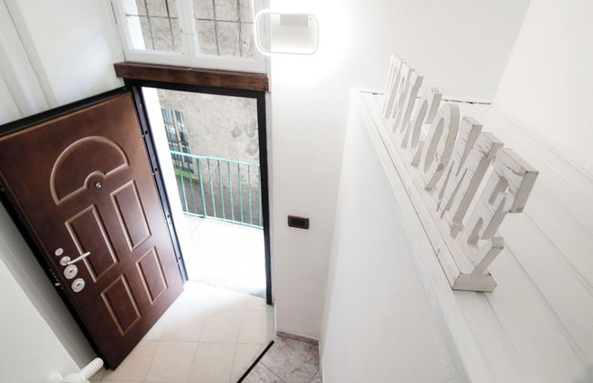 Lemon Tree - Photo 3