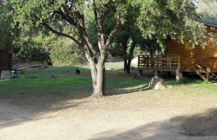 chalets bois 150m de la plage - Foto 30