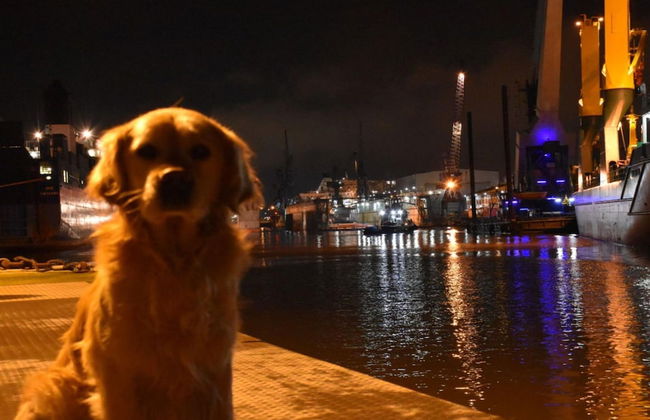 "loft" Portmarina 26 - Foto 14