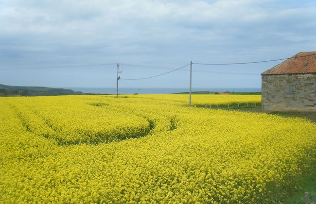 The Granary Cottages Whitby North Yorkshire - Foto 9