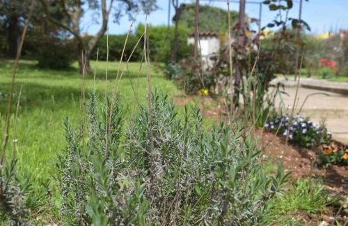 Apartment Ivy - Foto 19