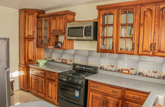 CARNATION 156 - Foto 16