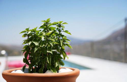 Villa Tzekos - Foto 61