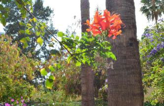THE TEIDES WINDOW swimming pool LA VENTANA DEL TEIDE - Foto 55