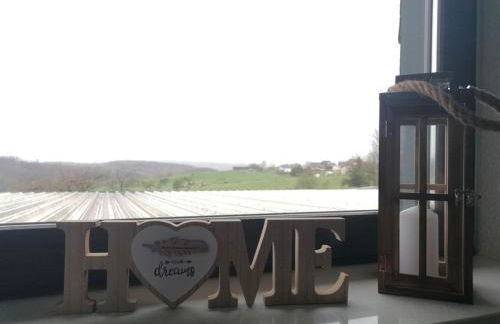 "Die Jockeysuite" auf unserem Reiterhof - Foto 8