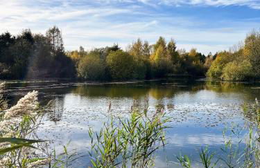 Wigeon Secluded Rustic cabin - Foto 29