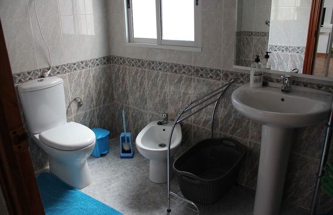 Studio Tropical - Foto 28