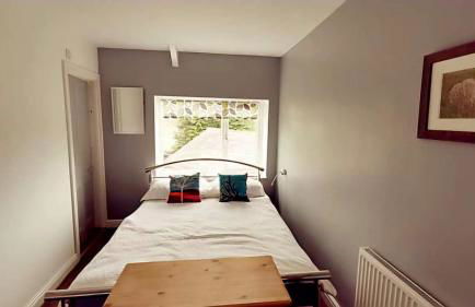 The Allendale Wolf - Foto 64