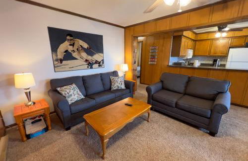 Summit 203D Mtn Views WiFi Parking Washer Dryer - Foto 5