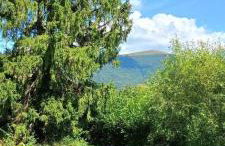 Mały Domek DOMARKA w BIESZCZADACH - Foto 27