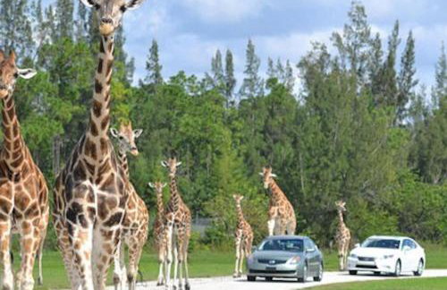 Master Bedroom w Pvt Bath in shared home - Foto 36