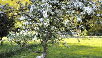 Apartment Sander by Interhome - Foto 3