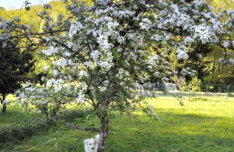 Apartment Sander by Interhome - Foto 3