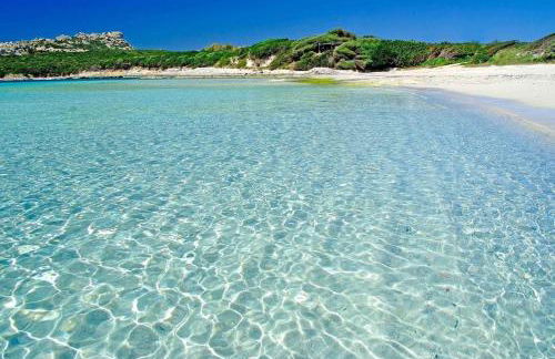 Casa Serena - Photo 8