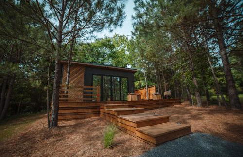 Luxury tiny house with hot tub and private deck! - Foto 5
