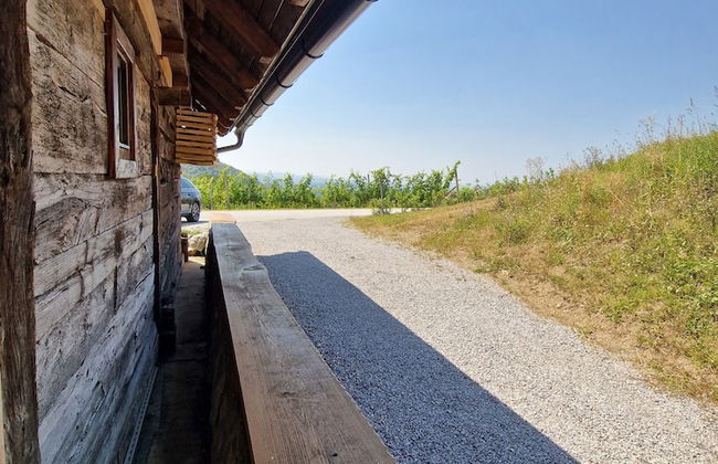 Vineyard cottage Vinska grajska kašča - Foto 49