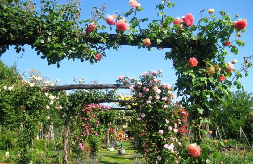 Maso Di Villa Relais di Campagna - Foto 8