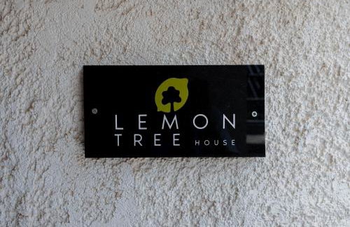 Lemon Tree House - Photo 45