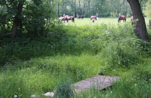 Gospodarstwo Agroturystyczne Stary Młyn Wilczkowice - Foto 25