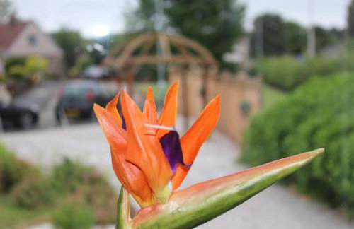 The Marlfield - Foto 22