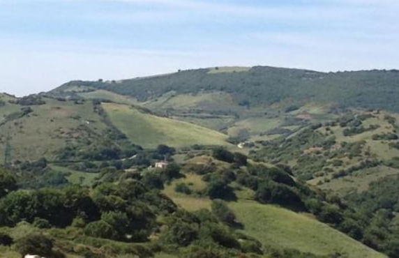 Agriturismo Sa Tanca Noa - Photo 72