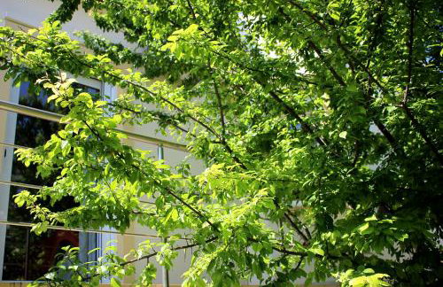 Villa Sofia Filoxenia - Photo 46