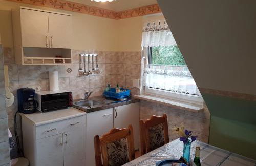 Landpension Zum Schweizerberg - Foto 46