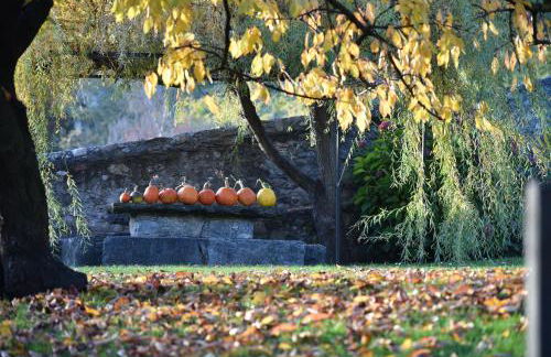 La Rosa al Roseto del Drago - Foto 41