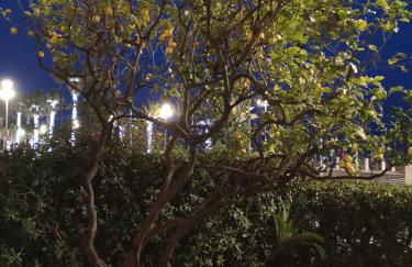 Garden Atlantide Promenade - Foto 42