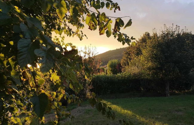 Farmhouse in Tuscany With Panoramic Pool - Photo 39