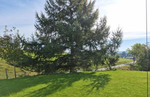 Ferienwohnung Schwarzwald-Alpenblick - Foto 41