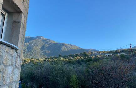 Rapunzel's Tower Mani - Foto 39